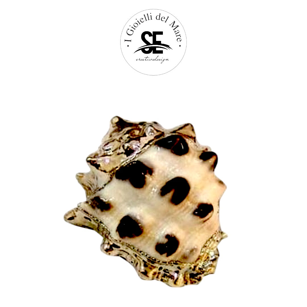 Cod.5803 Drupa moris in argento