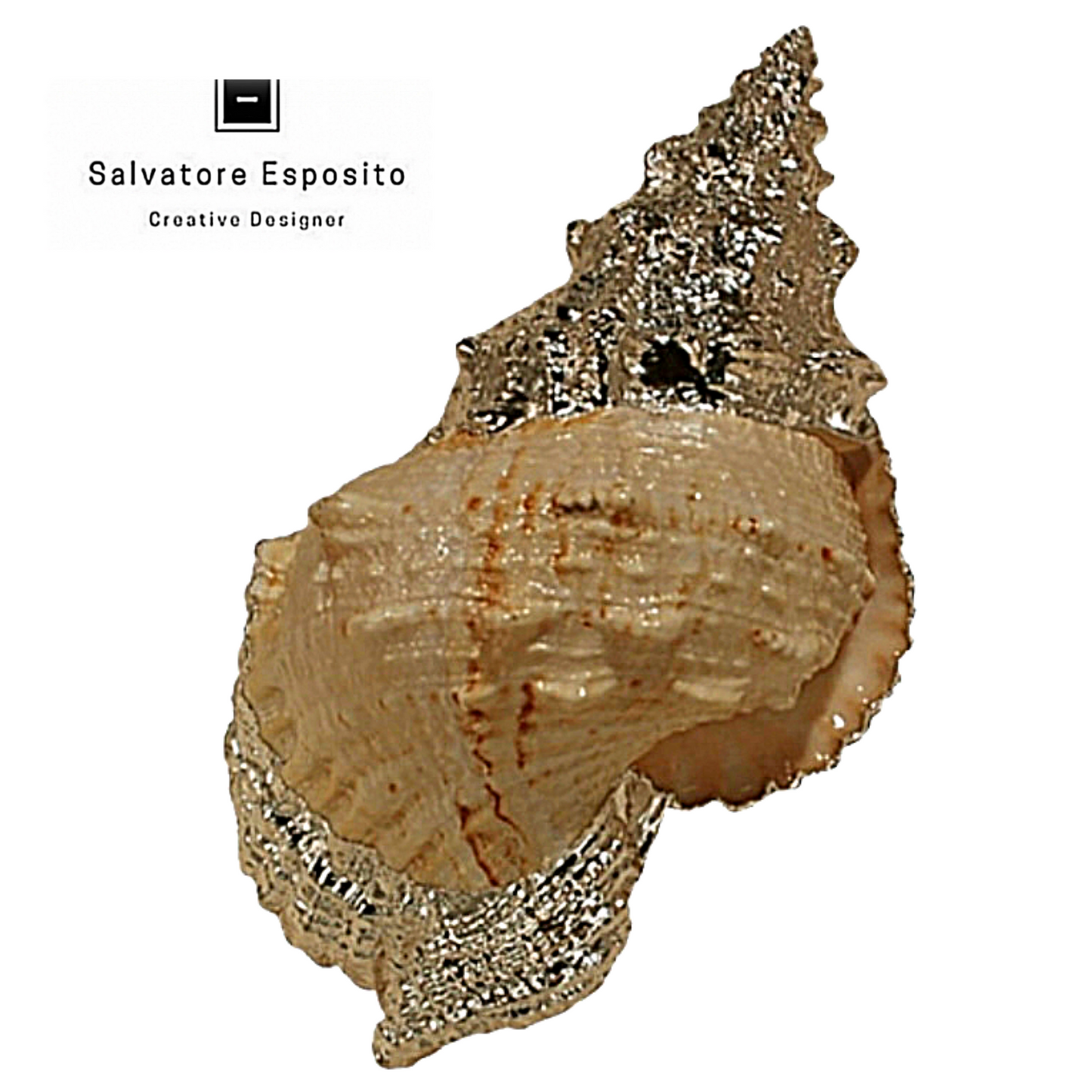 Cod.05025 Bursa bobo in argento