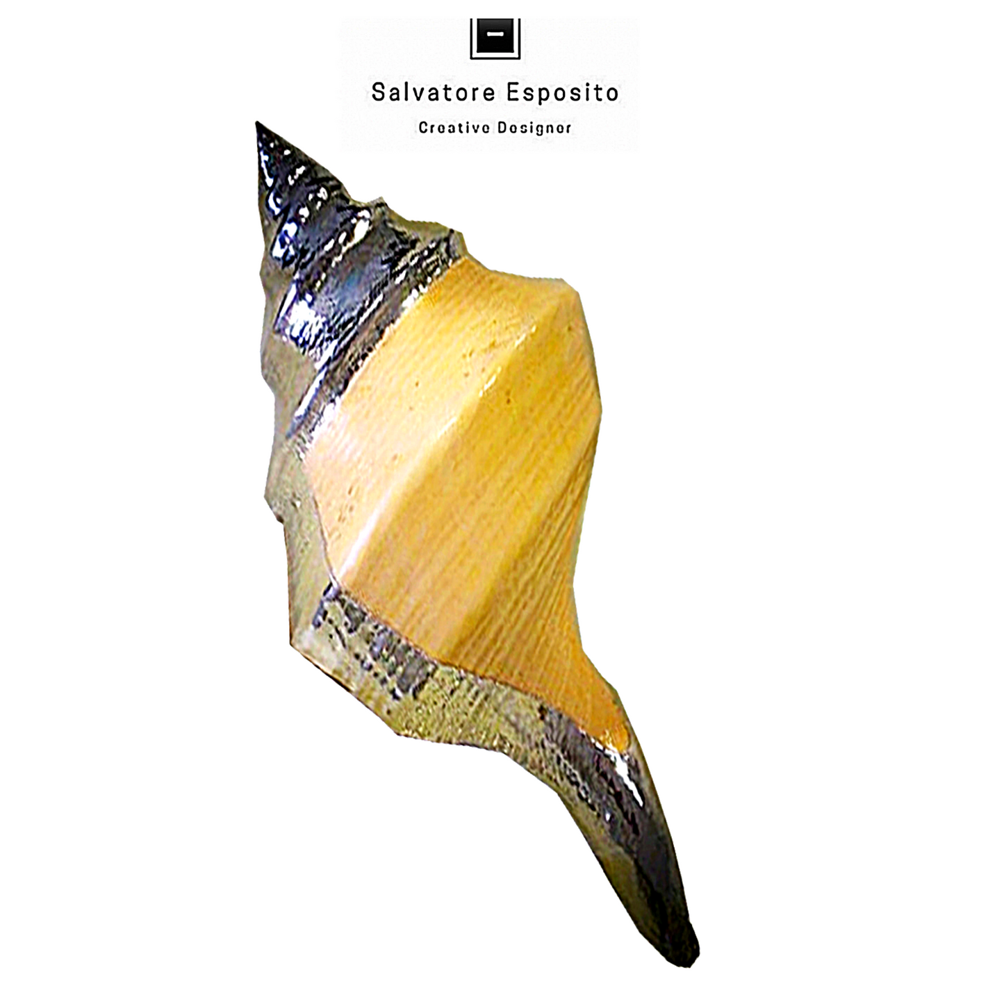 Cod.72730 Syrenix aruanus in argento