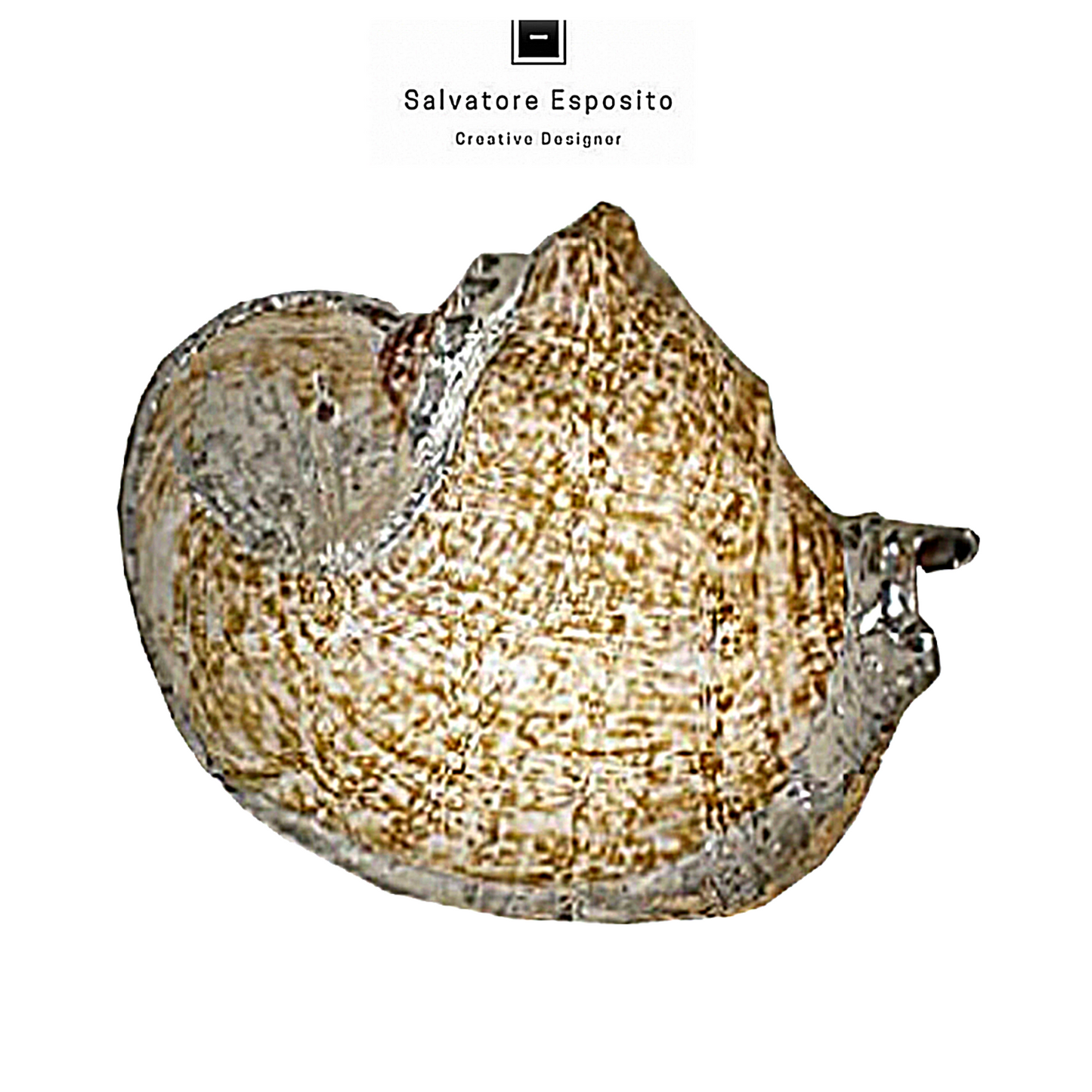 Cod.67638 Strombus golia naturale in argento
