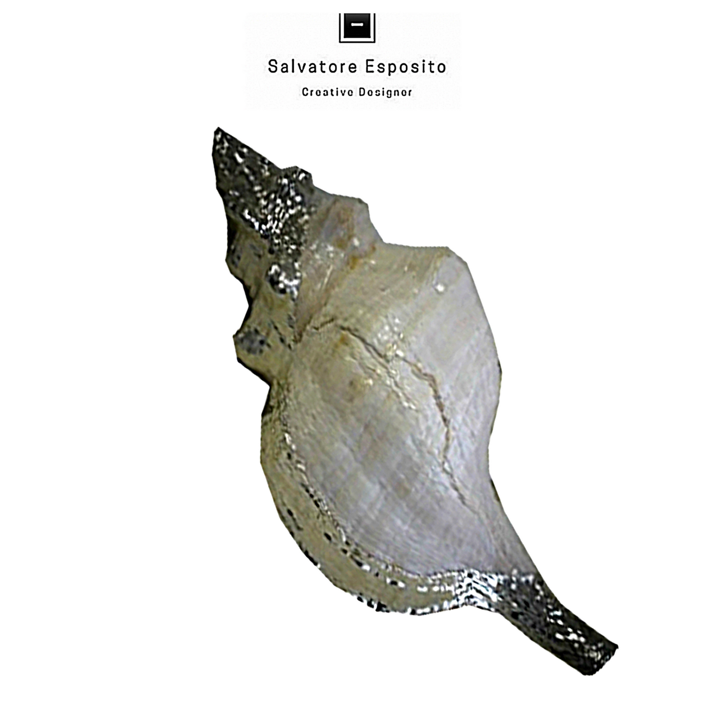 Cod.27238 Fasciolaria gigantea in argento