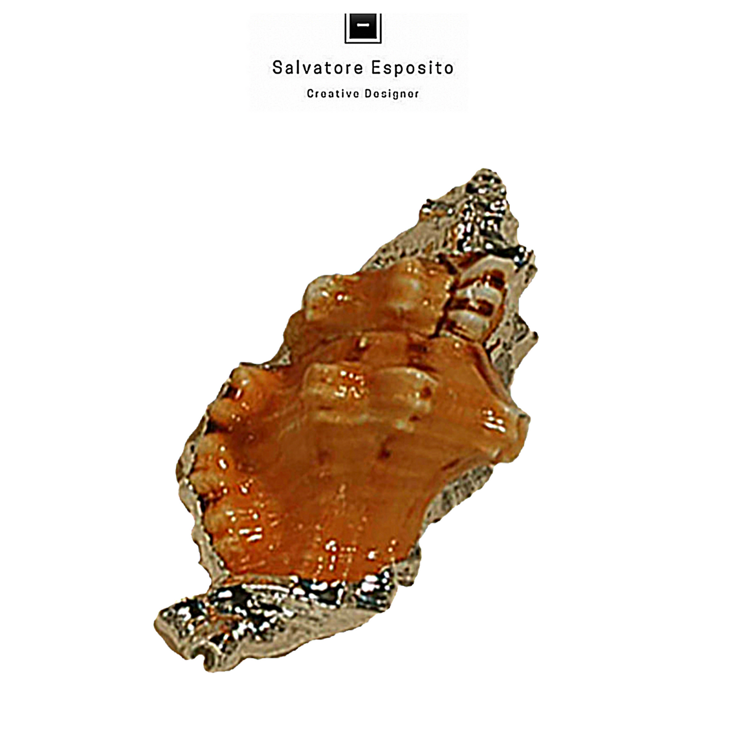 Cod.20009 Cymatium lotorium in argento