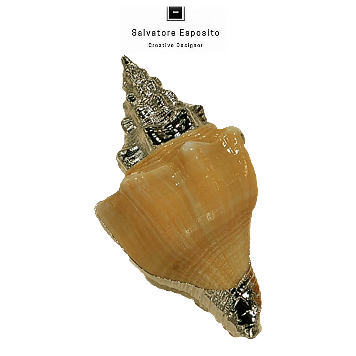 Cod.719198 Sagina fusinus in argento