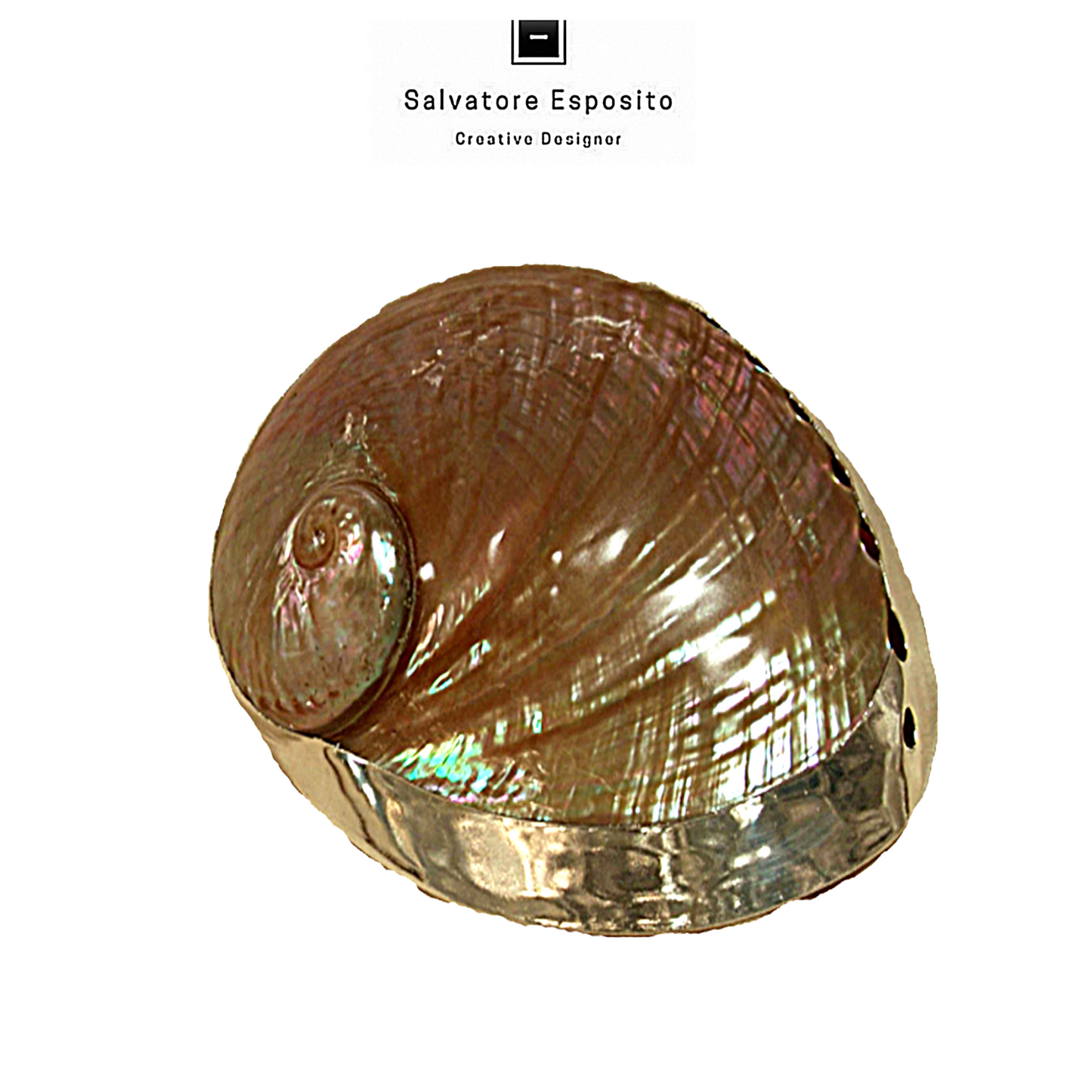 Cod.35515 Haliotis puka madreperla in argento