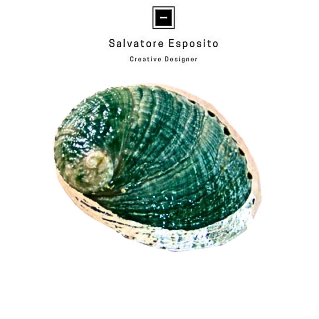 Cod.Oa4 Haliotis puka verde naturale in argento
