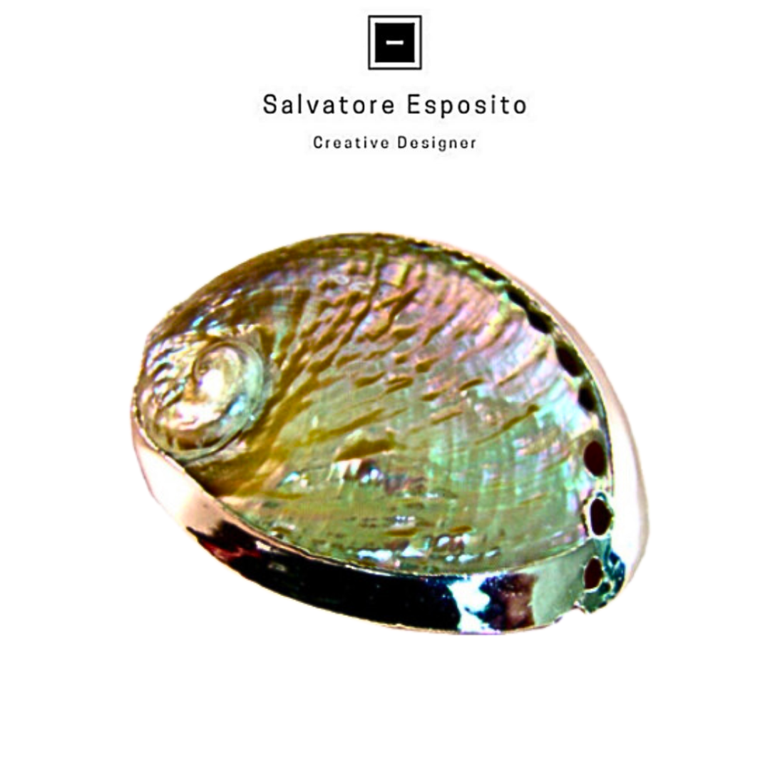 Cod.7309 Haliotis puka madreperla in argento