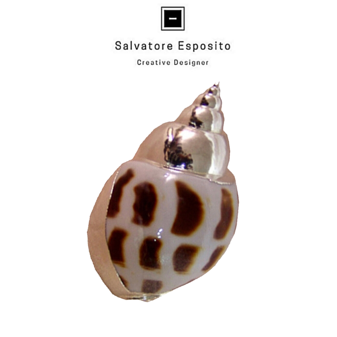 Cod.4006 Babylonia aereolata in argento