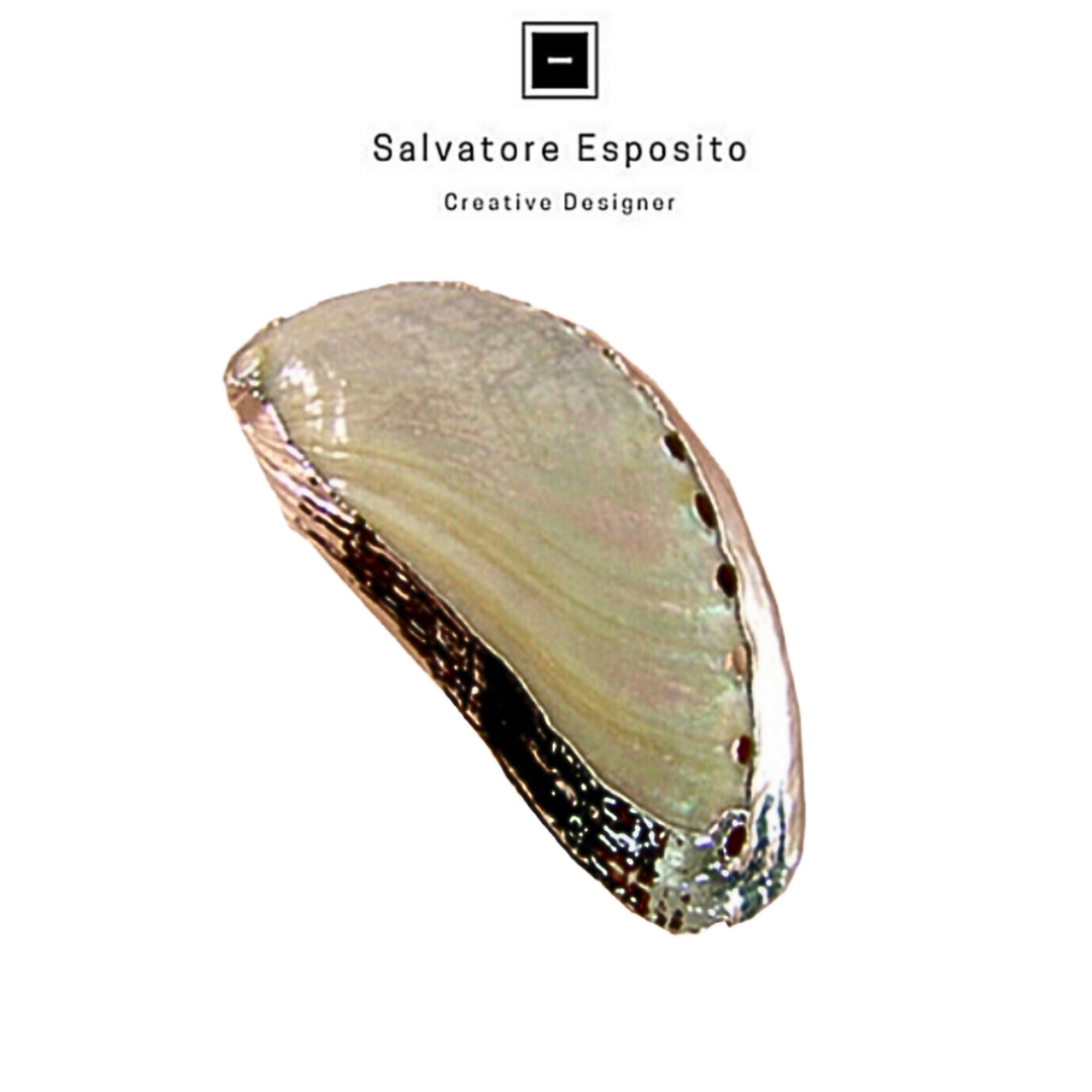 Cod.2609 Haliotis asinina madreperla in argento