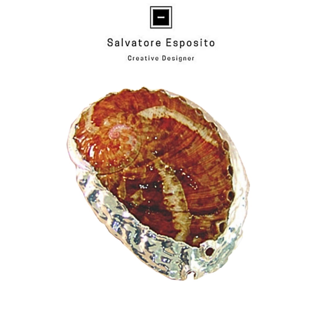 Cod.2507 Haliotis pulcherina naturale in argento