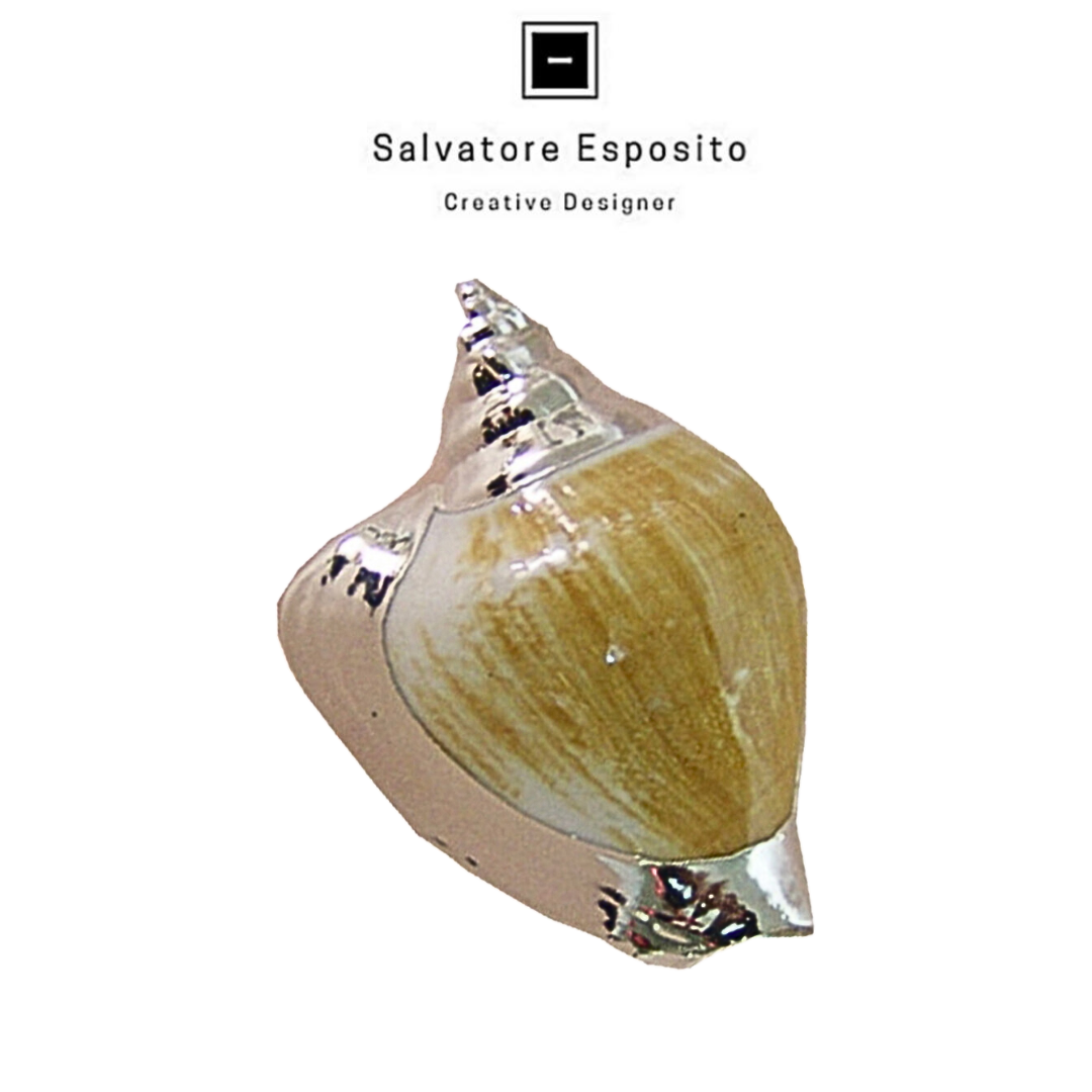 Cod.7205 Strombus canarium in argento