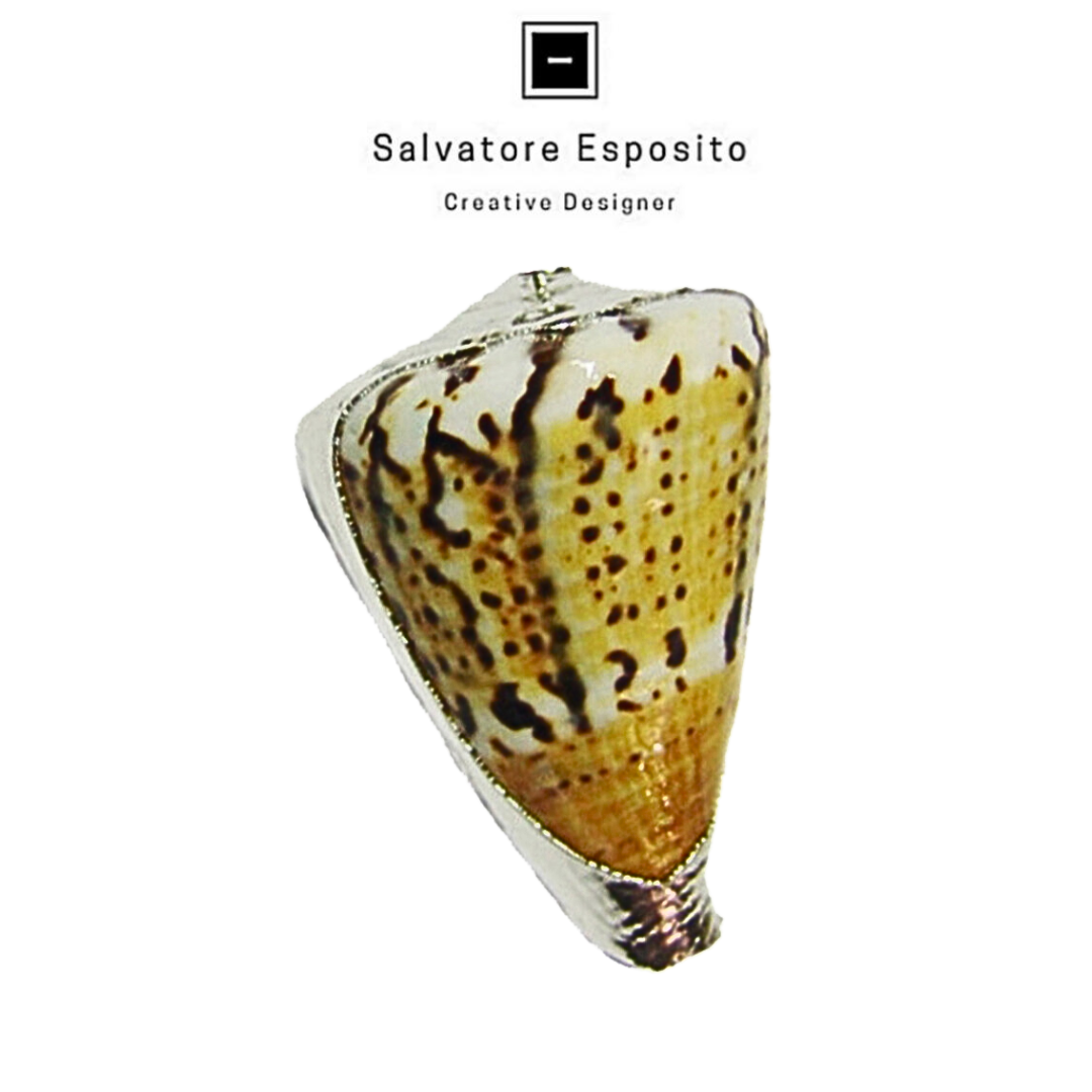 Cod.90348 Cardium capitaneus in argento