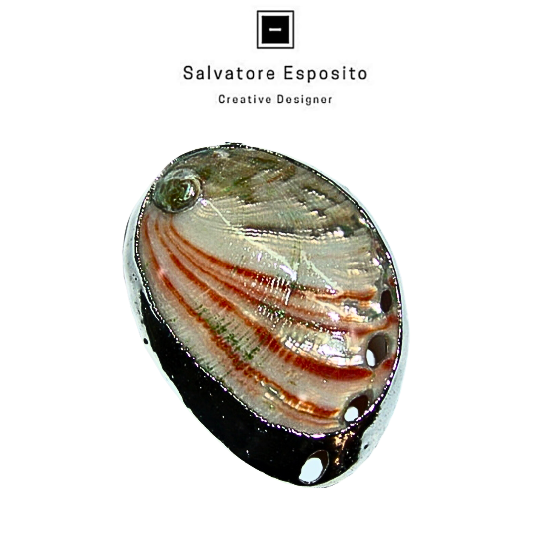 Cod.8607 Haliotis red abalone