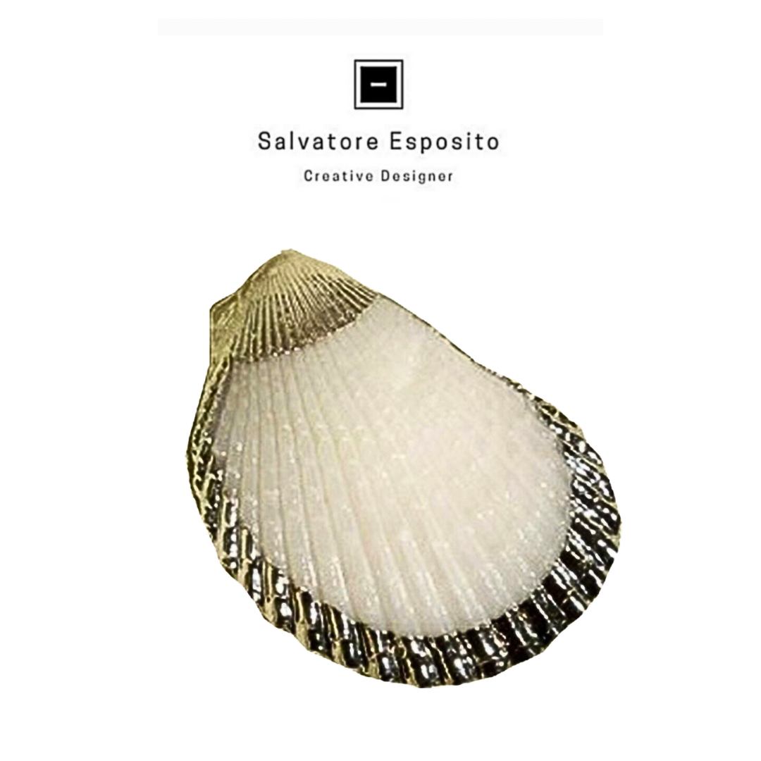 Cod.8101 Lima vulgaris in argento