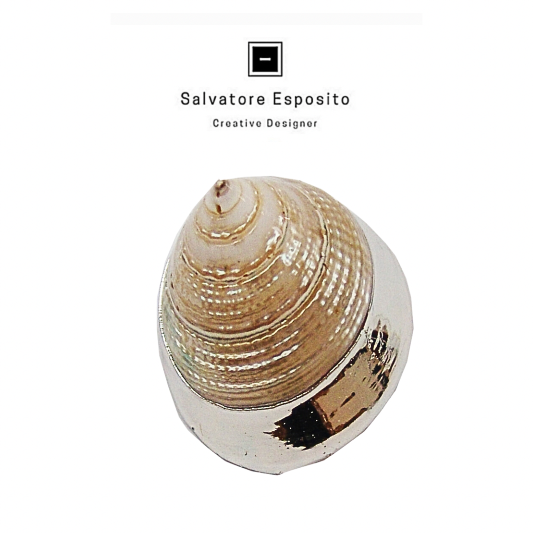 Cod.2905 Trochus madreperla argento