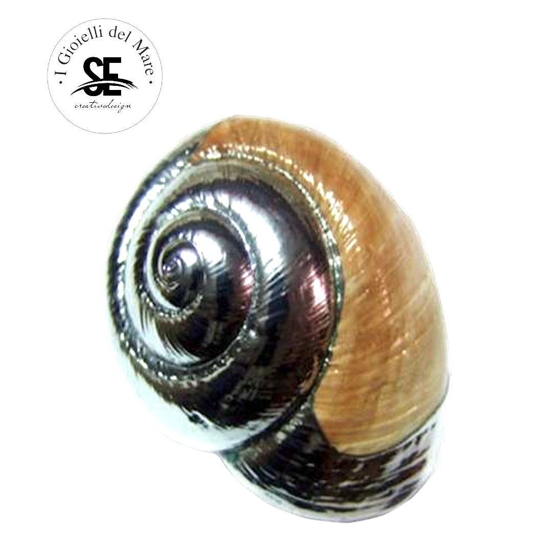 Cod.75108 Ryssota lamarchiana in argento