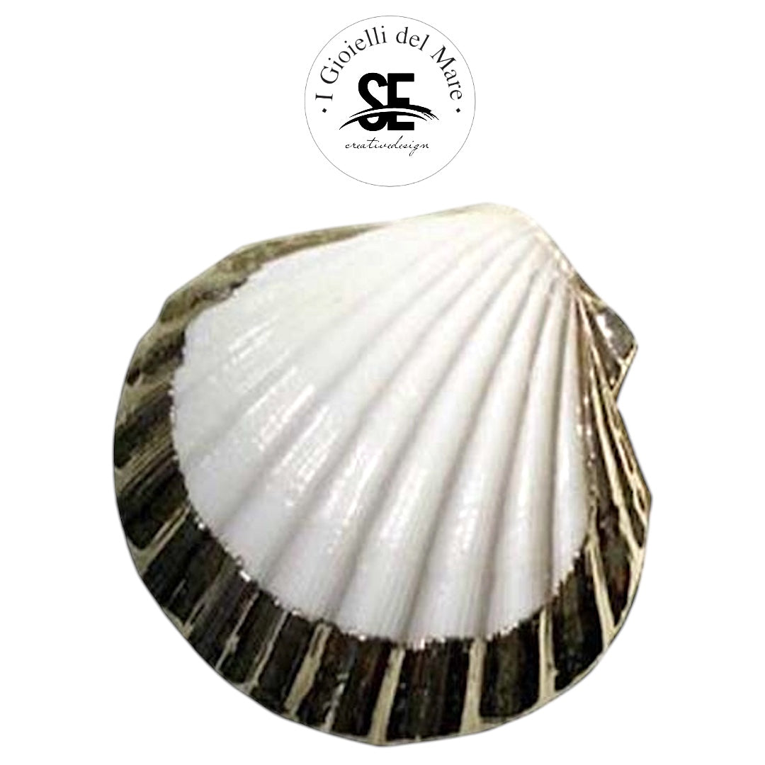 Cod.66010 Pecten bianco in argento