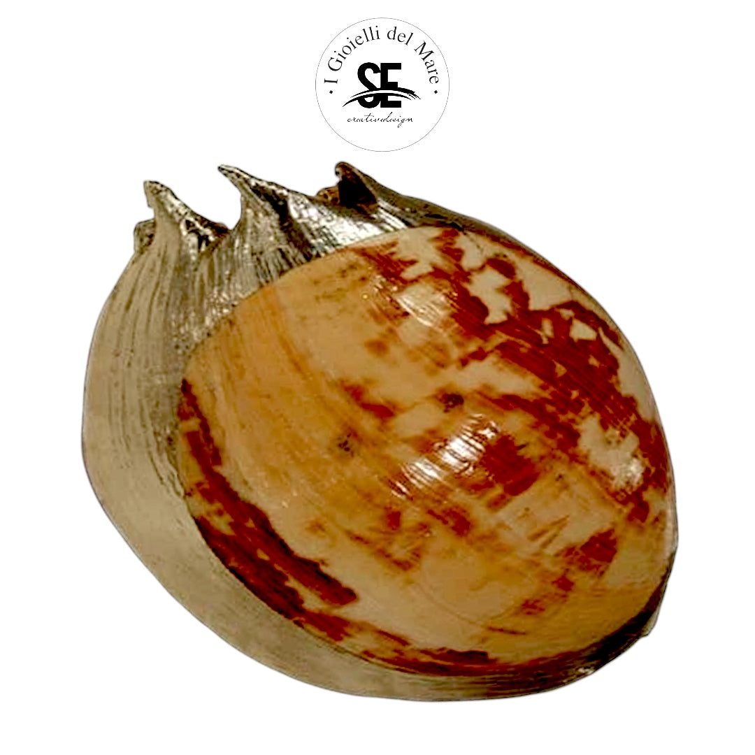 Cod.49035 Melo amphora in argento