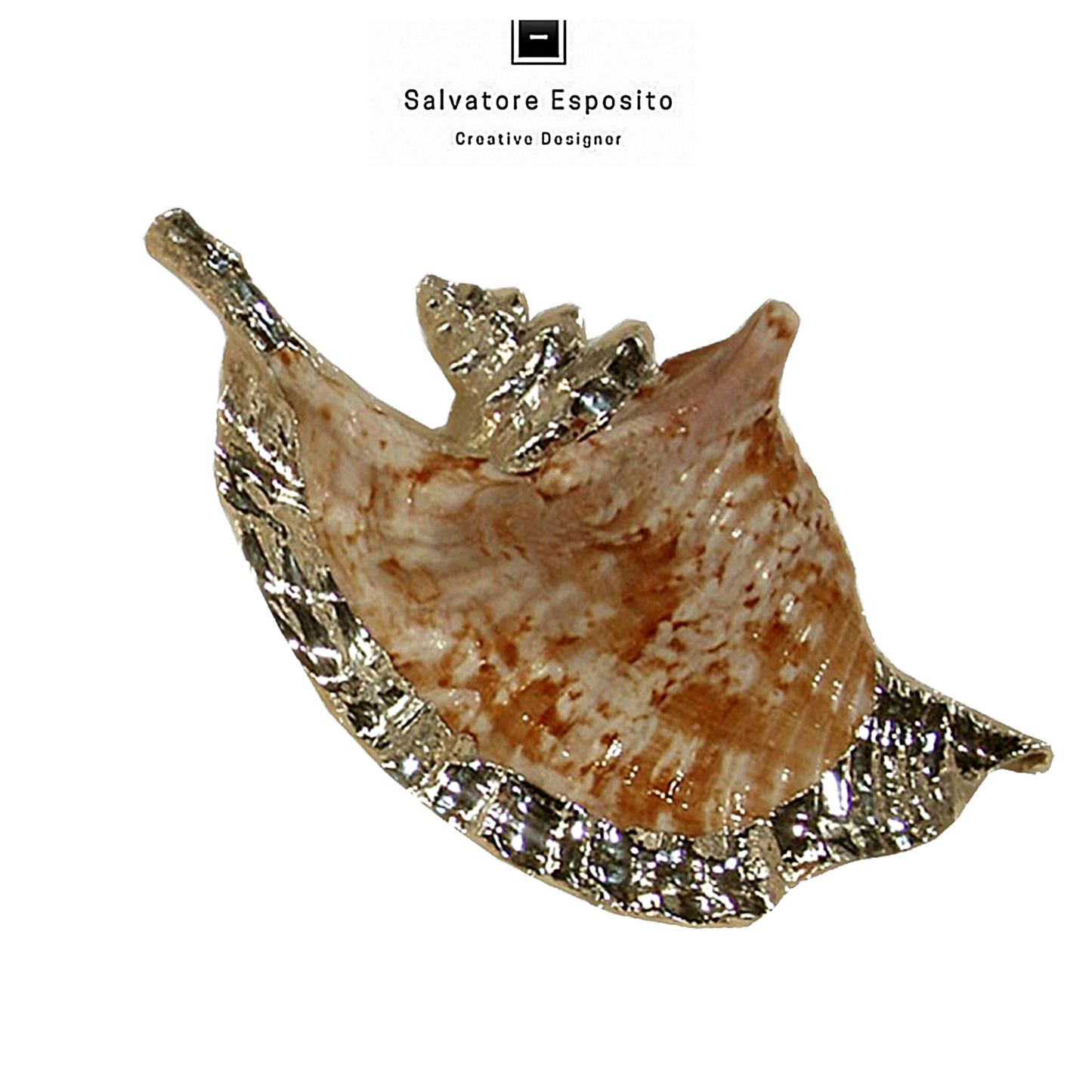 Cod.76012 Strombus gallus argento