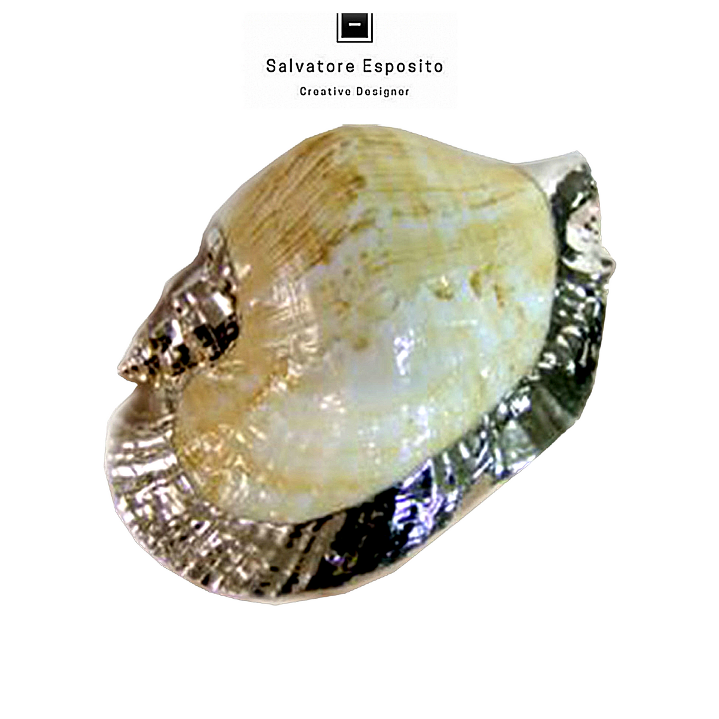 Cod.75915 Strombus latissimus argento