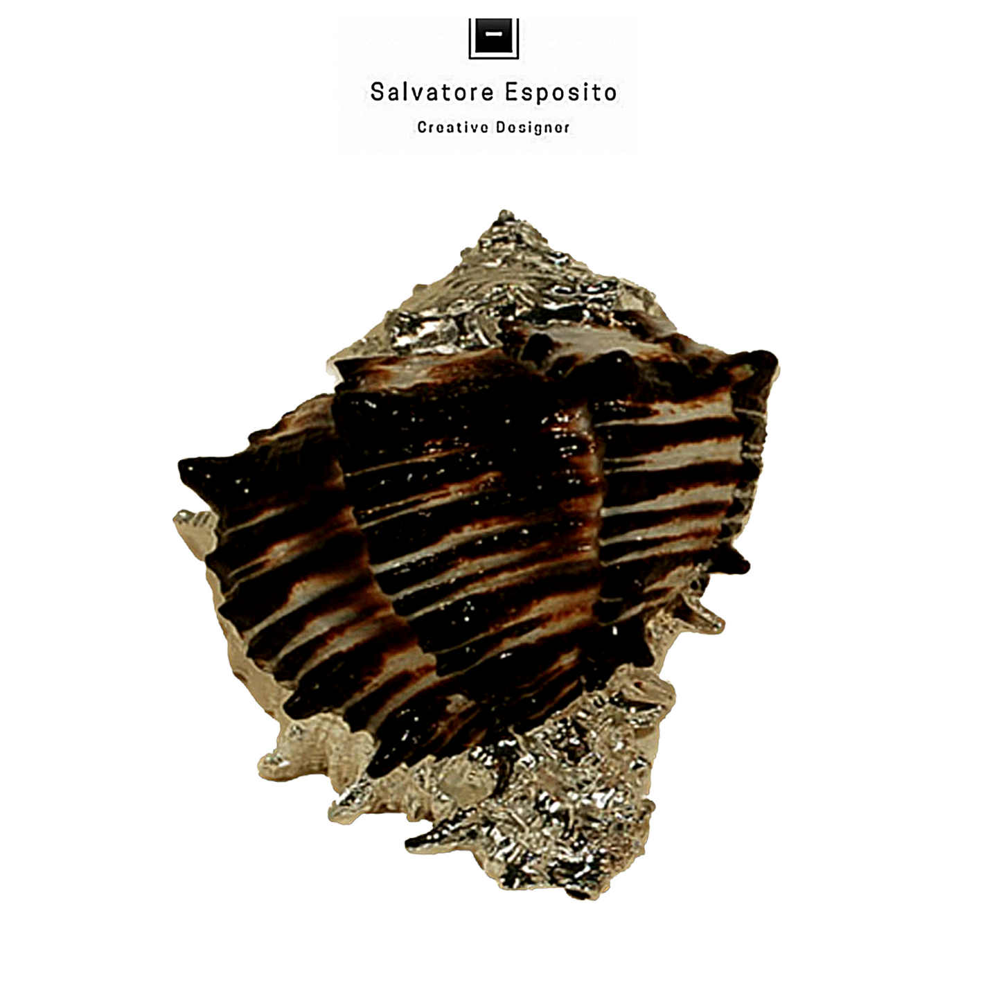 Cod.58011 Murex nigritus in argento