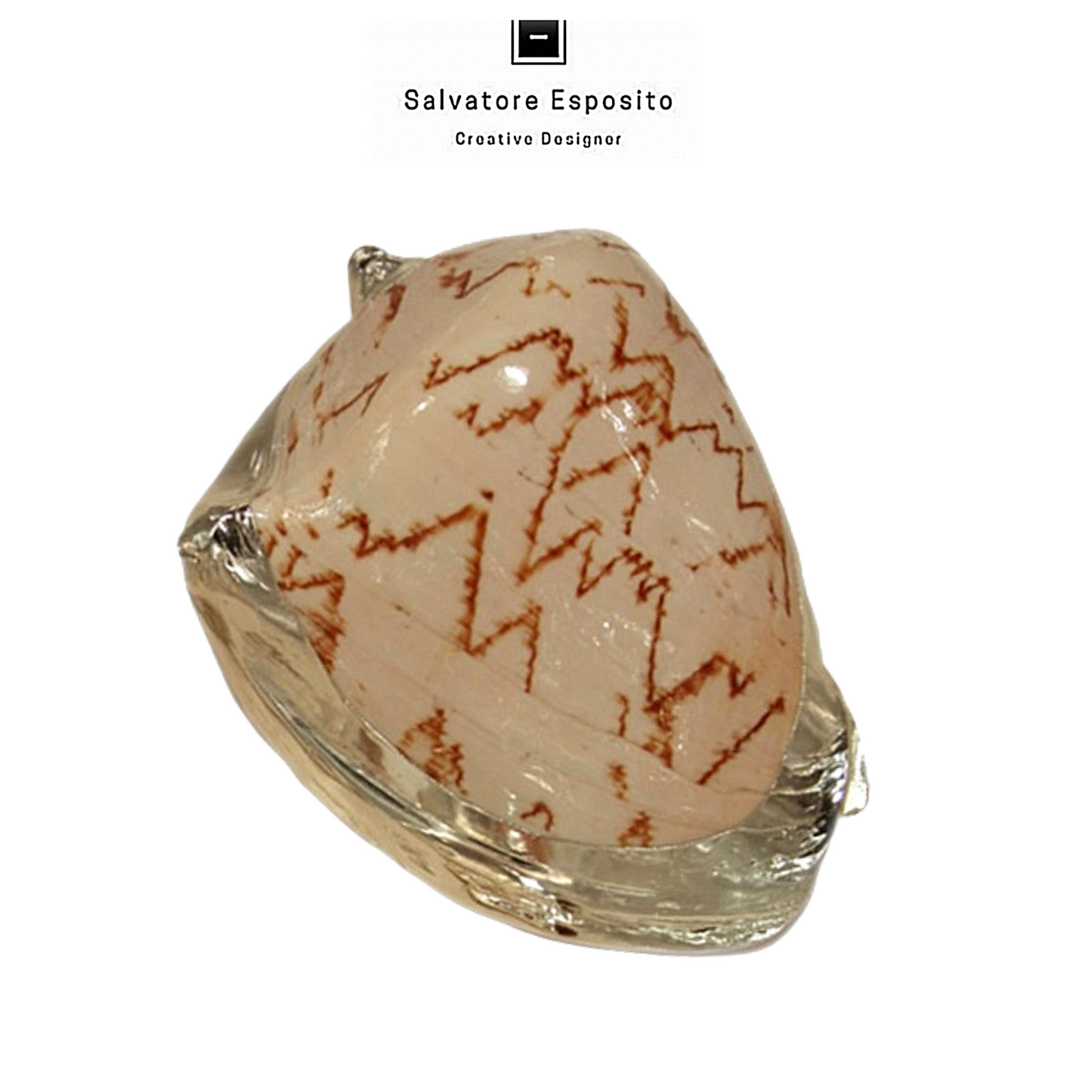 Cod.96511 Voluta nobilis bordata argento