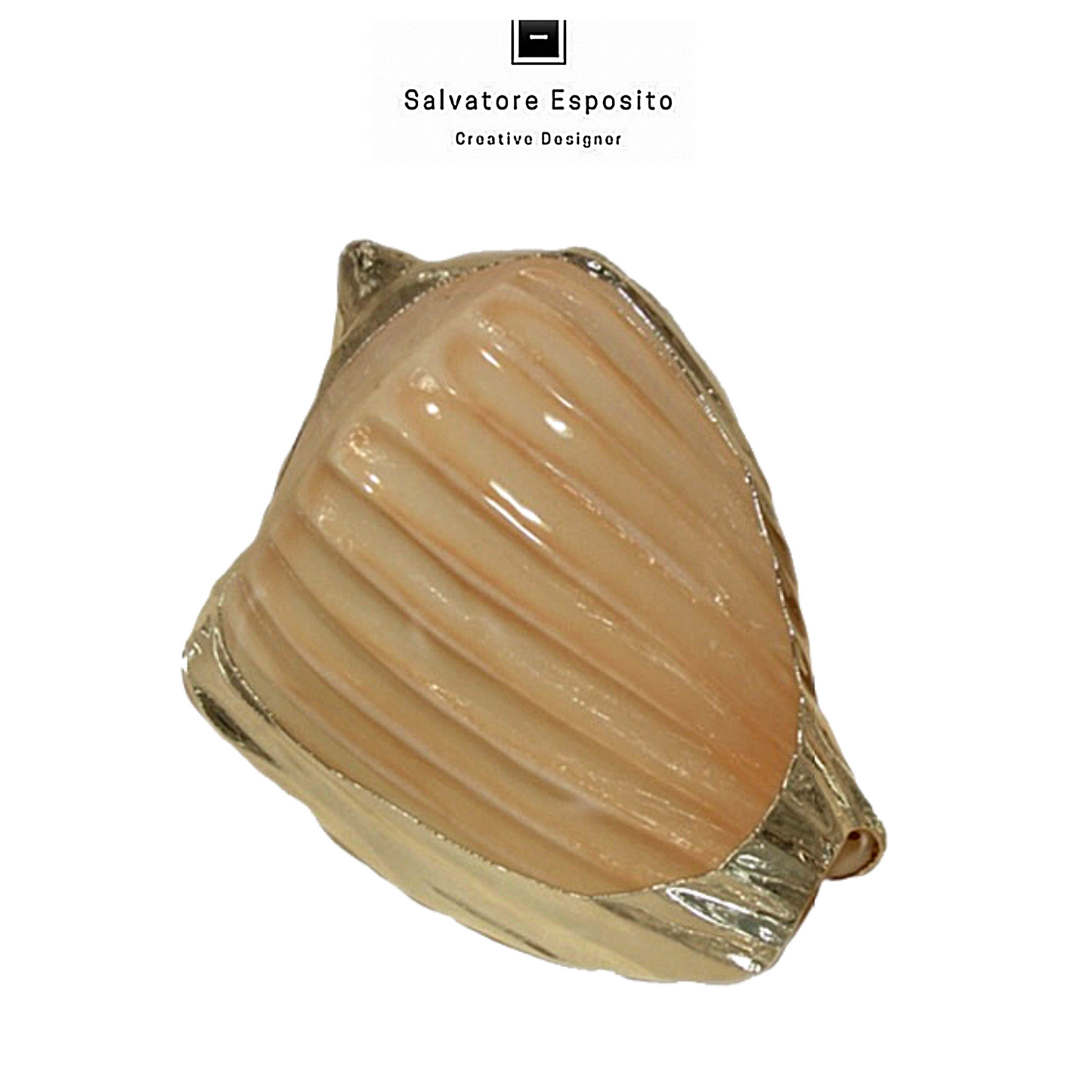 Cod.96612 Voluta nobilis incisa argento