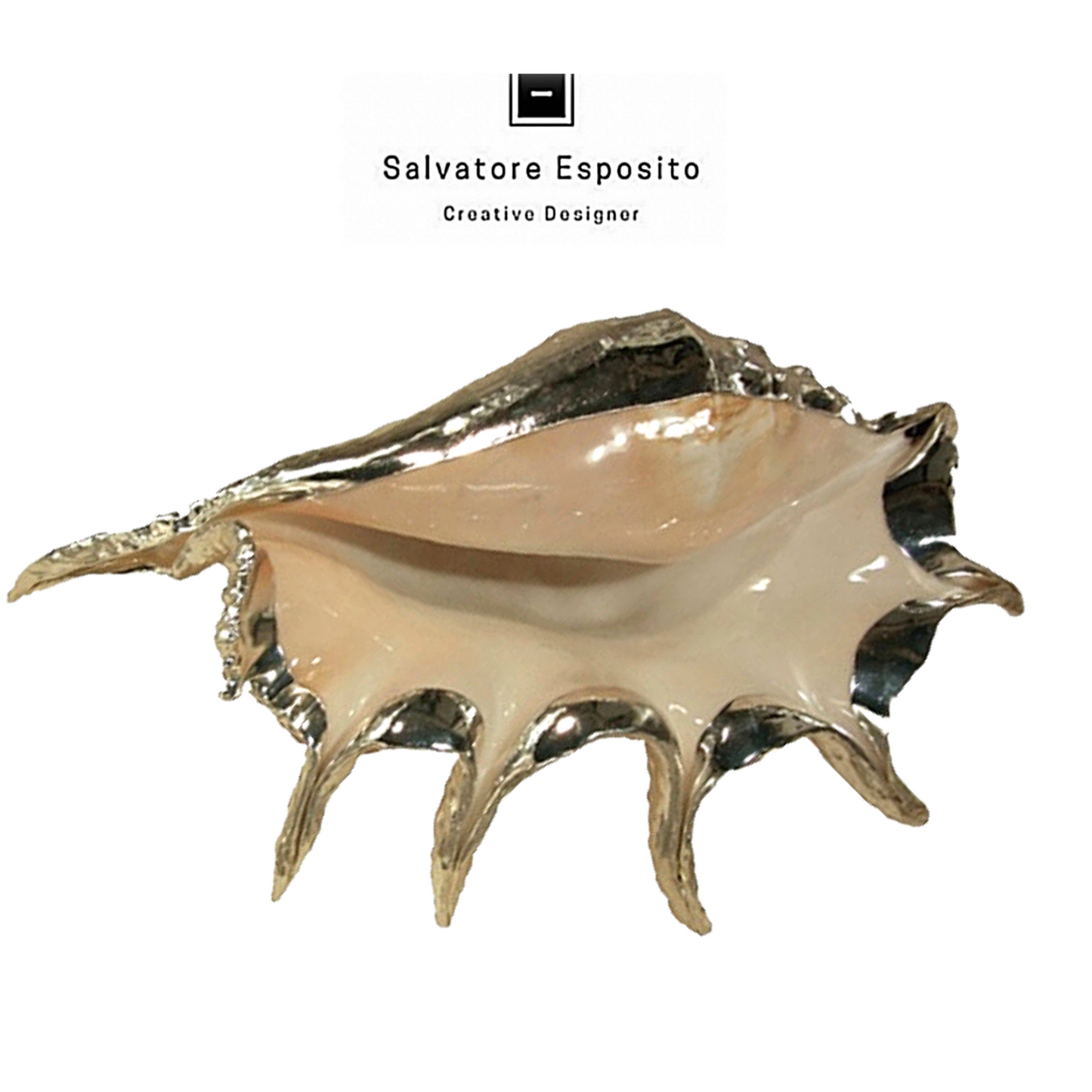 Cod.46032 Lambis truncata in argento