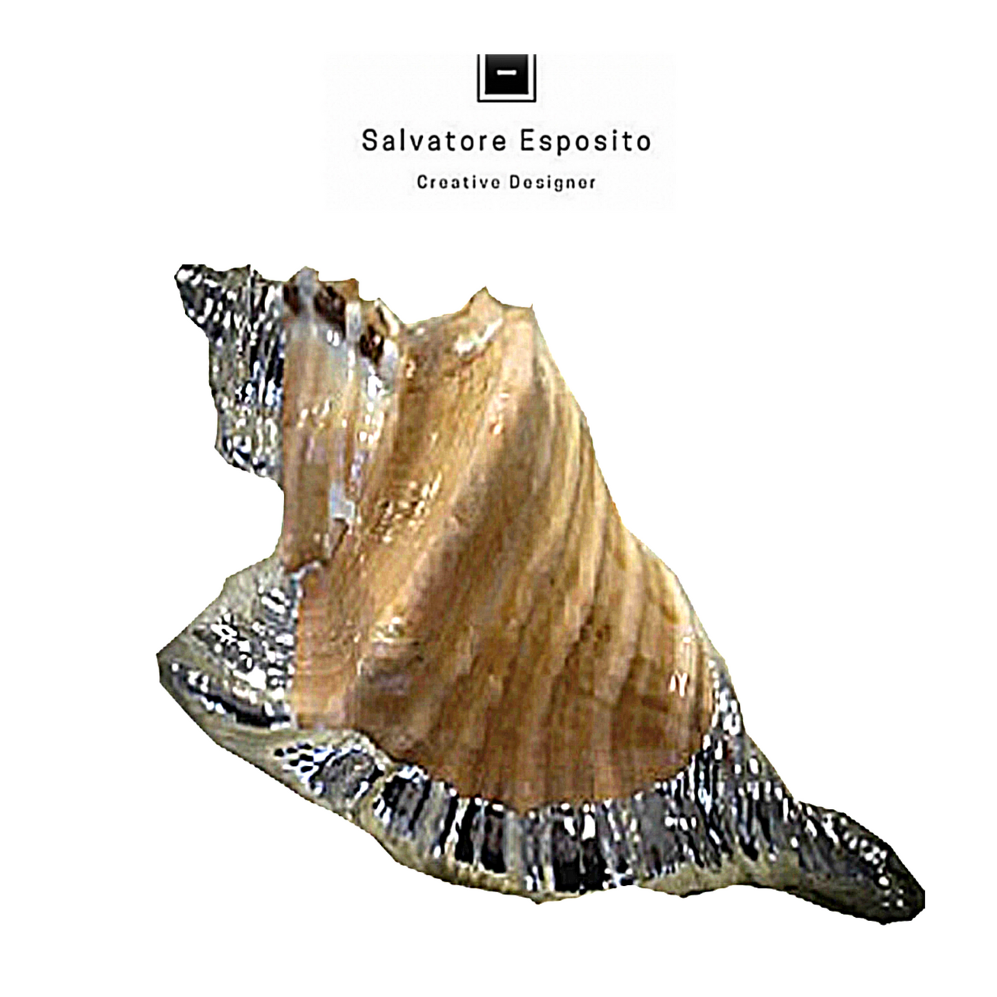 Cod.20421 Cymatium roderi in argento