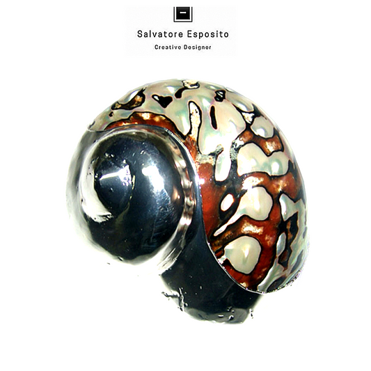 Cod.6705 Turbo sarmanticus argento