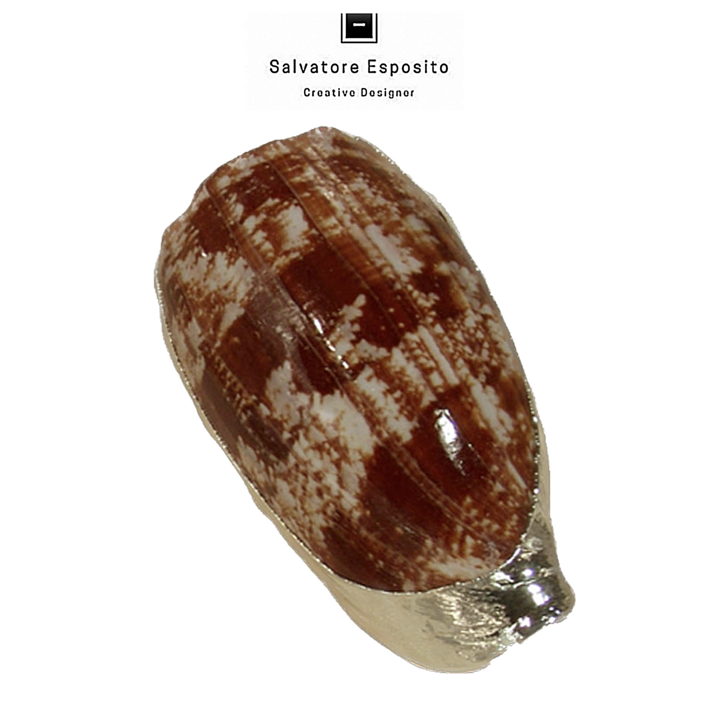 Cod.19109 Conus geografus in argento