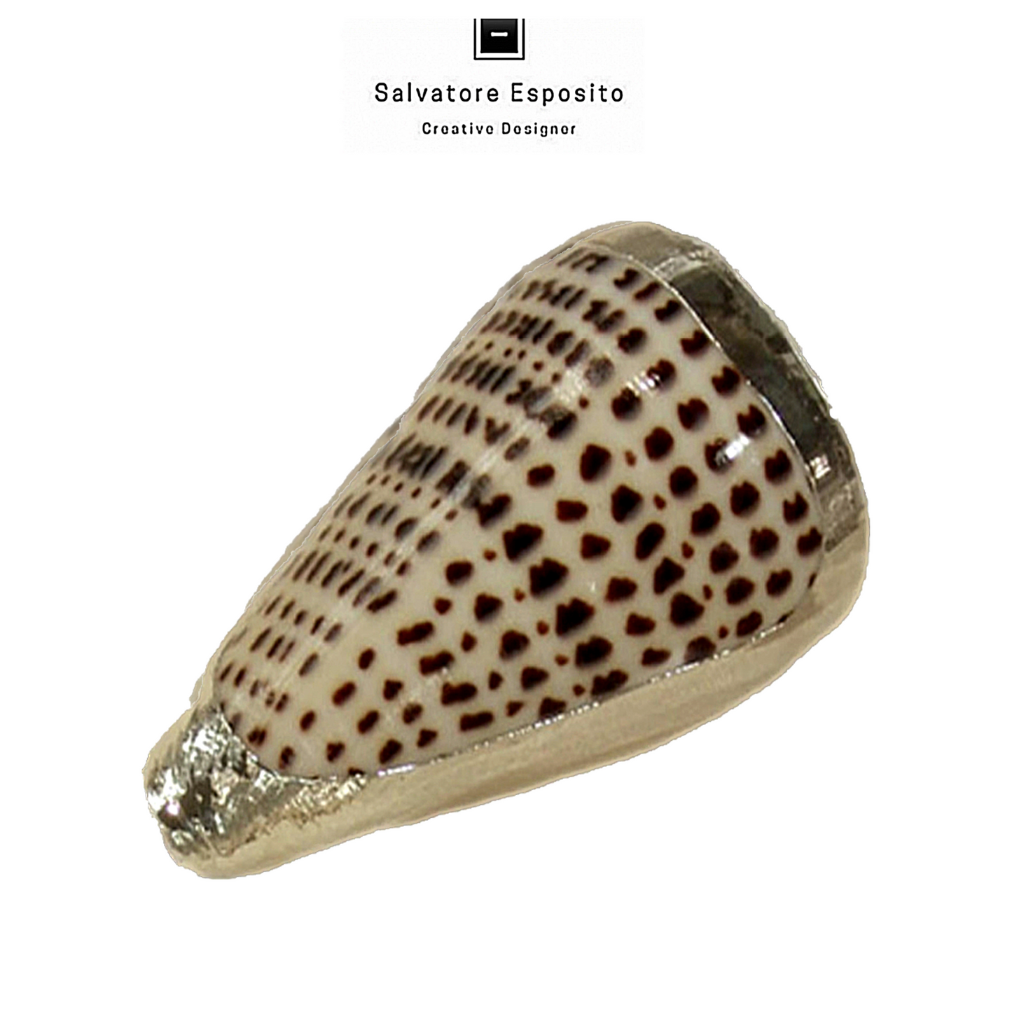 Cod.19509 Conus Leopardus in argento