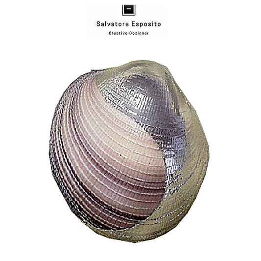 Cod.84608 Cardium Maxima naturale in argento