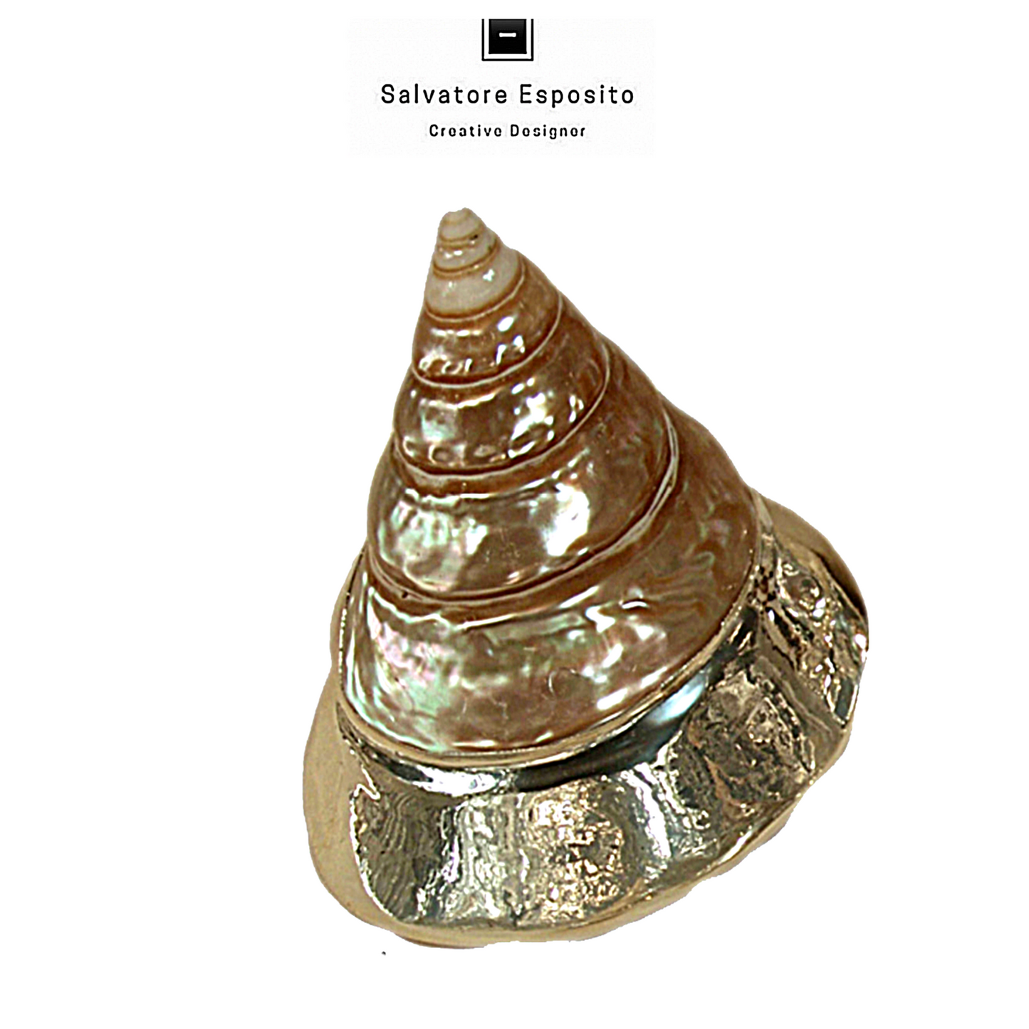 Cod.1209 Trochus niloticus in argento