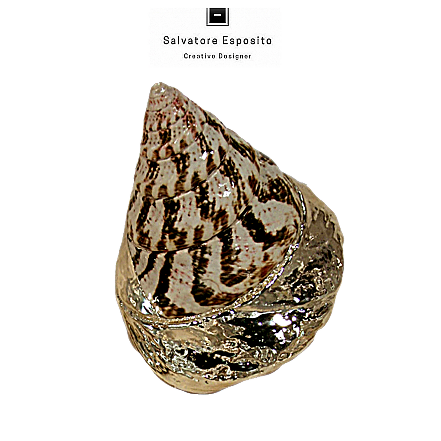 Cod.1209 Trochus niloticus in argento