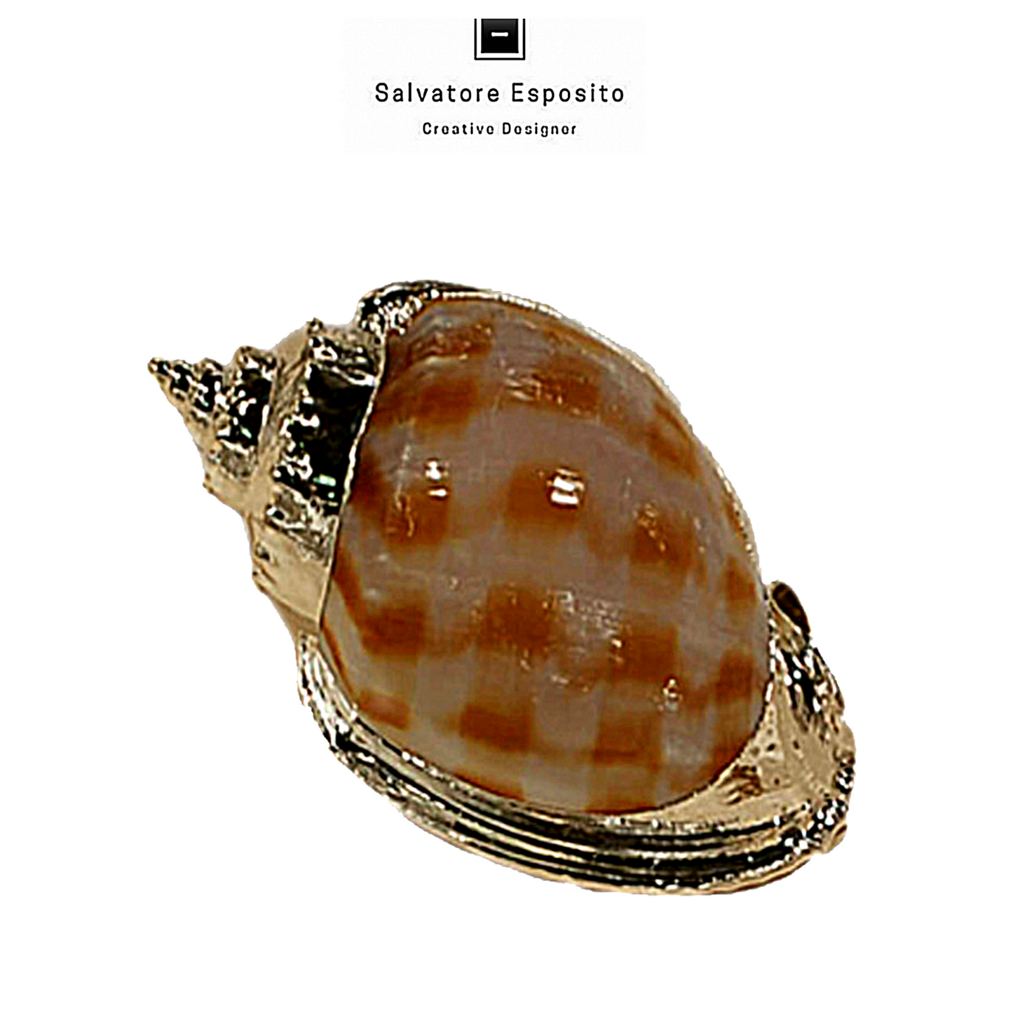 Cod.10810 Cassis bandatum in argento