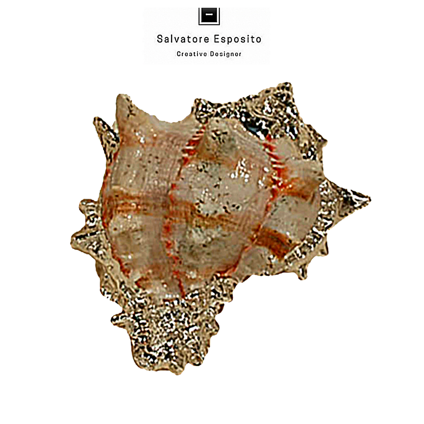 Cod.55507 Murex brassica in argento