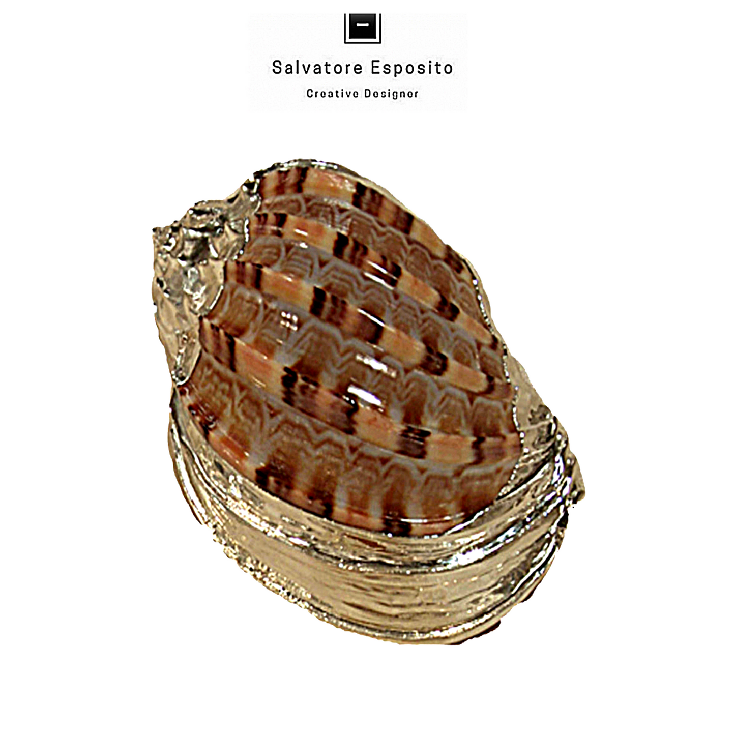 Cod.36007 Harpa major in argento