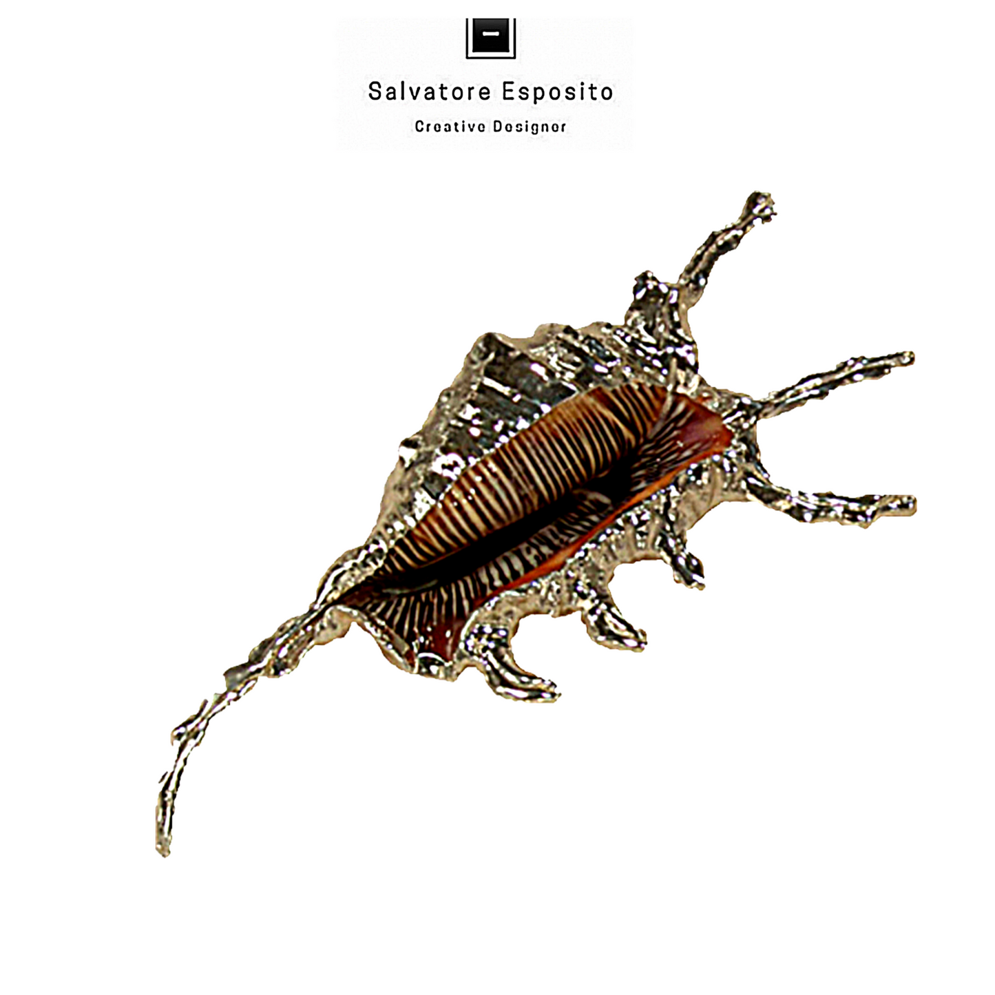 Cod.45015 Lambis scorpio in argento