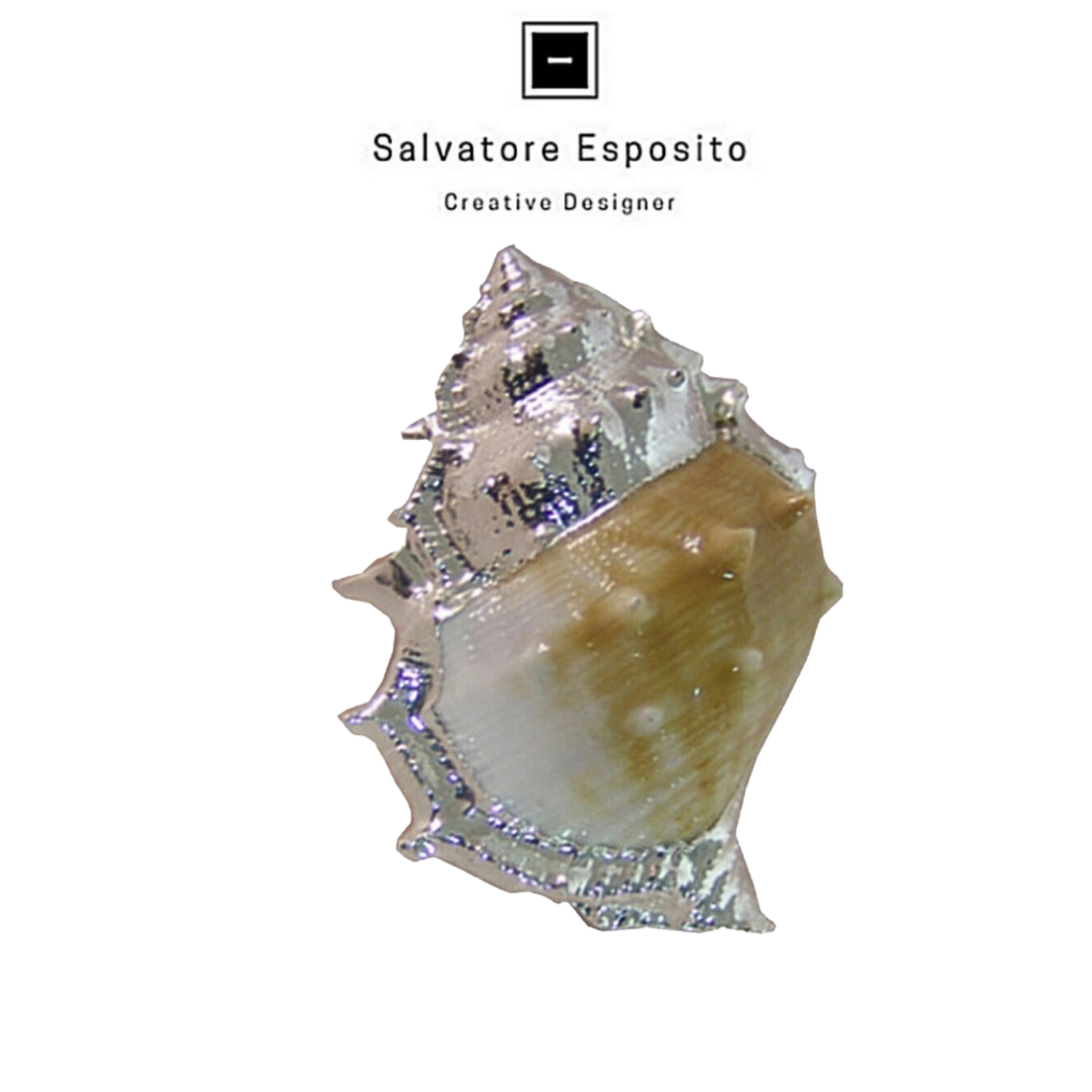 Cod.4805 Bursa spinosa in argento