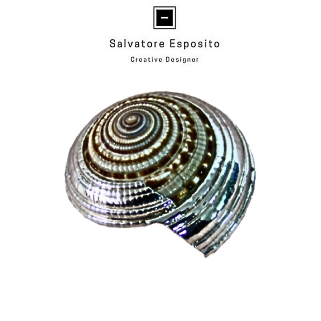 Cod.2206 Architettonica in argento