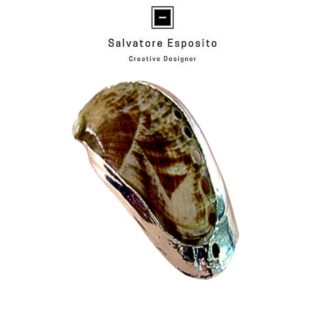 Cod.1710 Haliotis asinina naturale in argernto