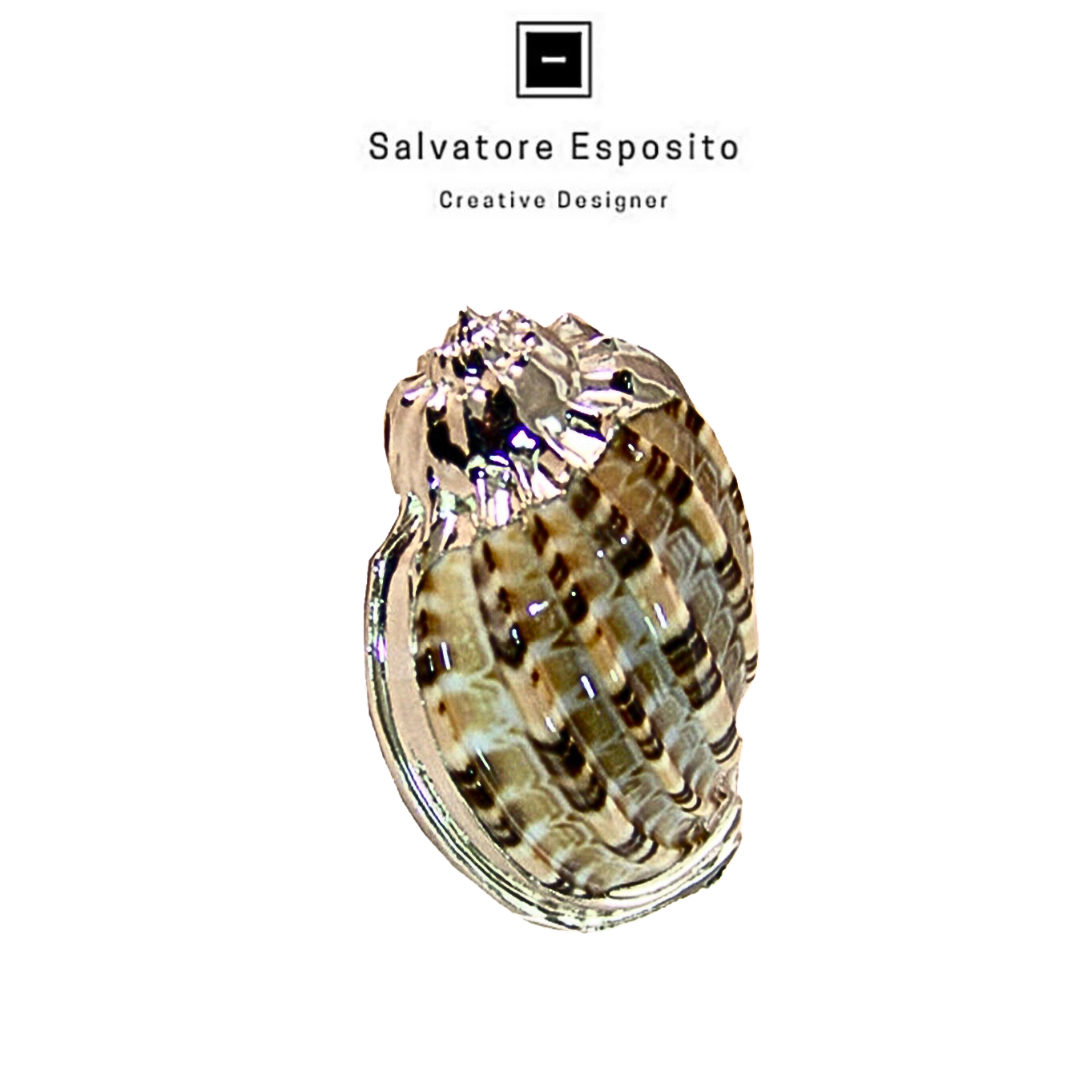 Cod.1911 Harpa articularis in argento