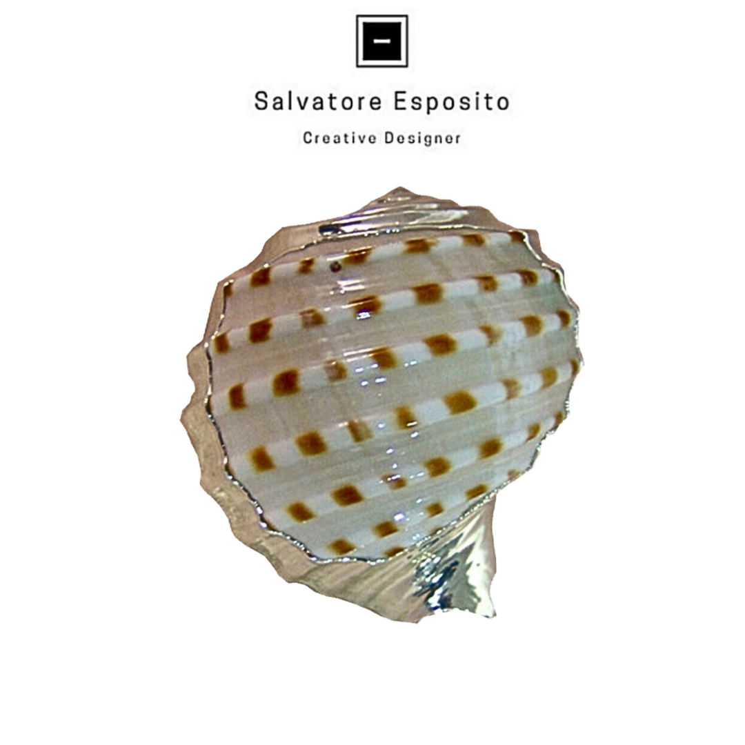 Cod.160273 Tonna tessellata in argento