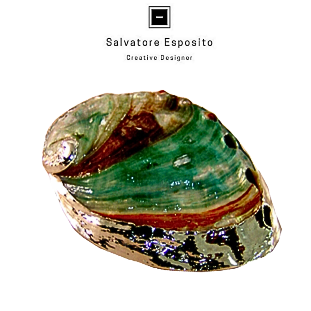 Cod.Gn2 Haliotis arcobaleno naturale in argento