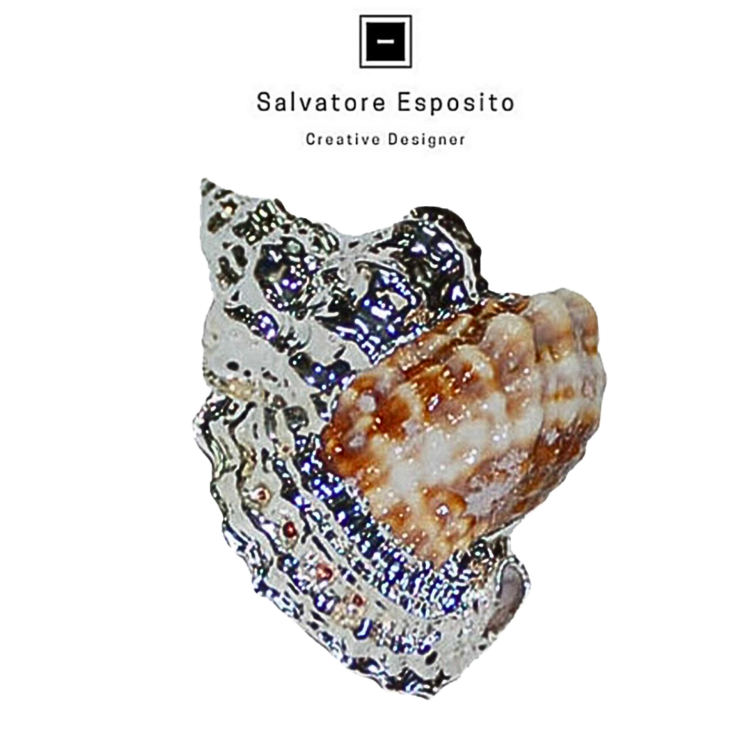 Cod.1901 Distorsio anus in argento