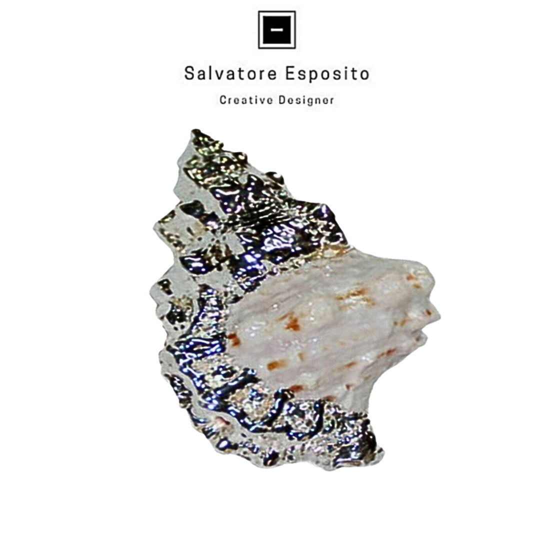 Cod.1900 Bursa rubeta in argento