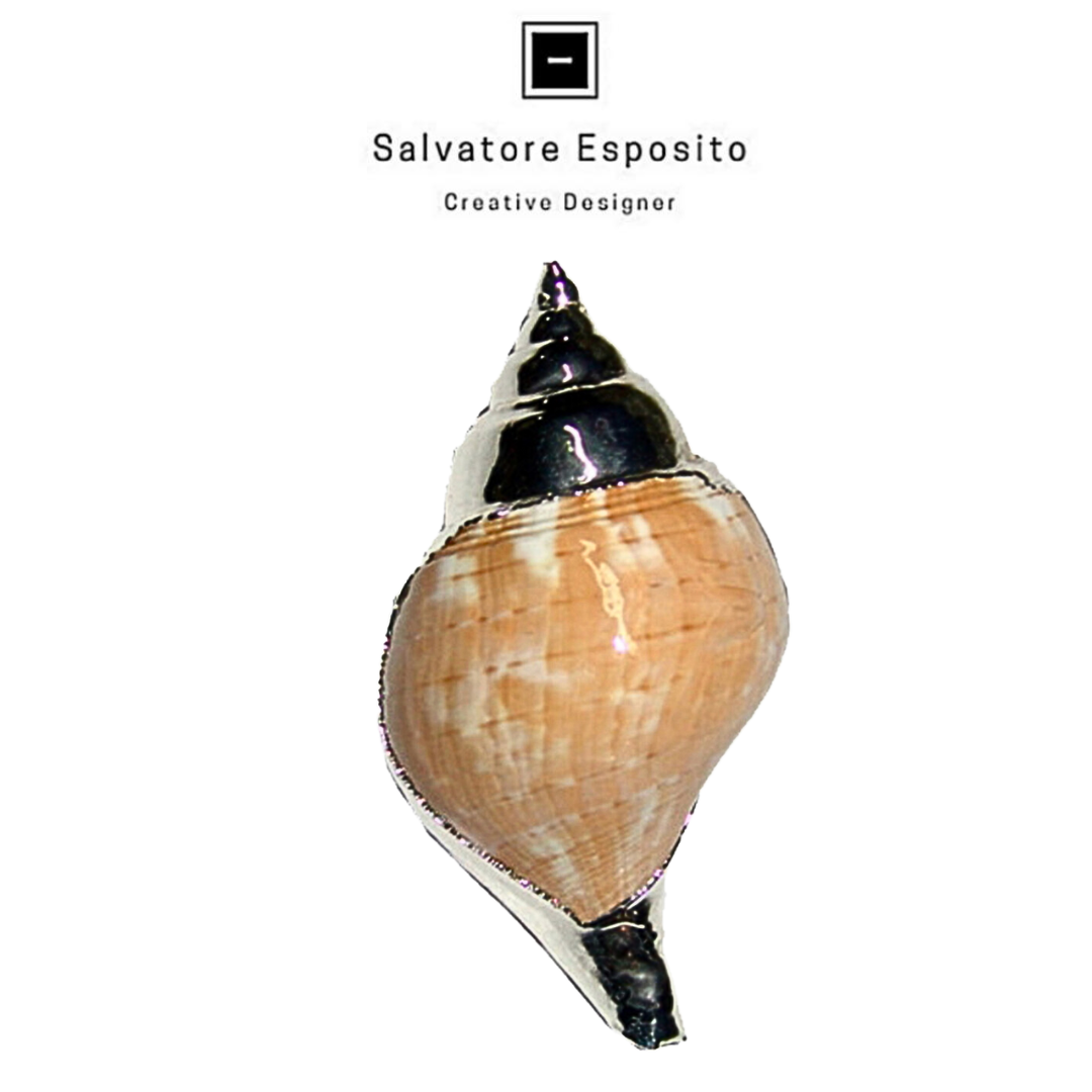 Cod.666/C Fasciolaria tulipa in argento