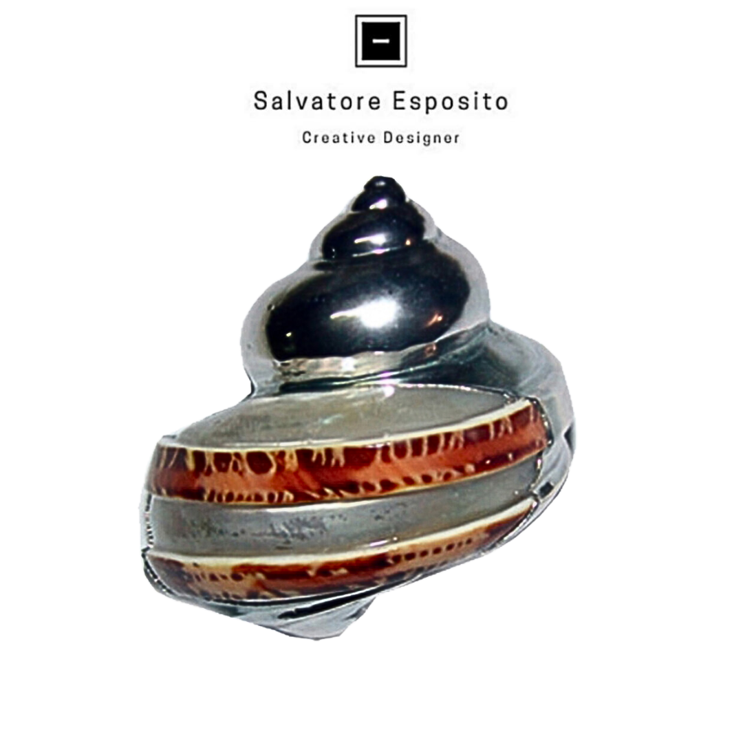 Cod.6506 Turbo petholatus banda madreperla