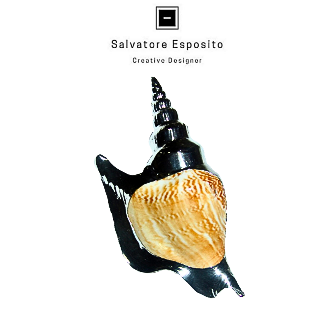 Cod.70012 Strombus listeri