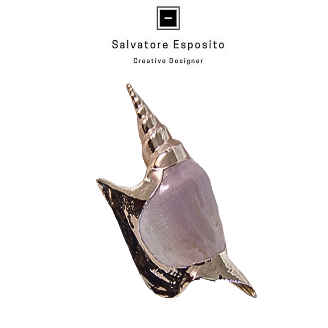 Cod.70012 Strombus listeri